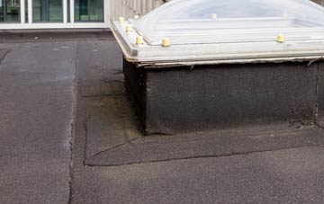 disadvantages of Upper Dinchope flat roofs