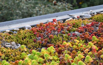 the cost of Upper Dinchope green roof installation
